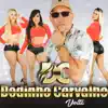 Dedinho Carvalho - Volta